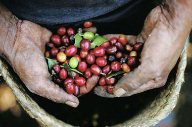 Coffee နဲ႔ သူ႕ရဲ႕သမိုင္းေၾကာင္း